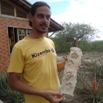 Lontra é encontrada por pesquisadores na Grota do Angico - Fotos: Ascom/Semarh