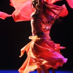 Maratona de apresentações encerra a VI Semana Sergipana de Dança - Fotos: Fabiana Costa/Secult