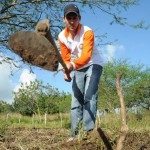 Governo investe R$ 4 milhões na preparação do solo para o plantio - Fotos: Edinah Mary/Inclusão Social