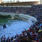 Trabalho especializado da PM garante paz nos estádios no Sergipão 2012 -