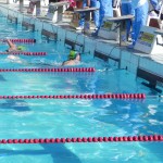 Campeonato Brasileiro de Natação reúne quase 500 nadadores - Fotos: Ascom/Seel