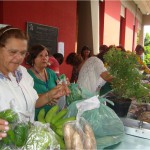 Emdagro realiza feira para difundir práticas agroecológicas - Fotos: Ascom/Emdagro