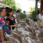 Emdagro realiza feira para difundir práticas agroecológicas - Fotos: Ascom/Emdagro