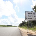 Obras na rodovia que liga Capela e o Miranda à BR 101 estão em conclusão -