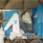 Rio+20 conhece algodão orgânico produzido por agricultores familiares de SE -