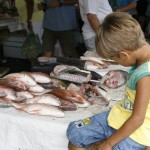 Governo e sociedade realizam campanha Contra Trabalho Infantil - Imagem/Divulgação