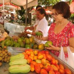 Feira da Agricultura Familiar nesta 5ª celebra o período junino   - Fotos: Edinah Mary/Inclusão Social