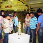 Exposição “Os três Santos Juninos” vai até 8 de julho no Centro de Arte - Fotos: Edinah Mary/Seides