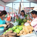 Mulheres camponesas comandam Feira da Agricultura em Neópolis - A consumidora Maria José Santos