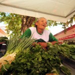 Feira da Agricultura Familiar nesta 5ª celebra o período junino   - Fotos: Edinah Mary/Inclusão Social