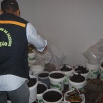 Sefaz verifica regularidade de estabelecimentos que comercializam açaí em Aracaju - Fotos: Ascom/Sefaz