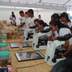 Edital apoia Olimpíadas de Ciência e Projetos de Popularização da Ciência - Fotos: Ascom/ Sedetec