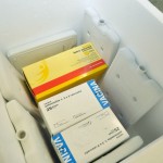 Saúde distribui mensalmente vacina para todo o estado -