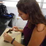 Pesquisadores da UFS encontram novas espécies de morcegos na Mata do Junco - Fotos: Ascom/Semarh