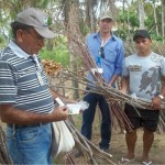 Emdagro realiza Dia de Campo em Pacatuba - Fotos: Ascom/Seagri