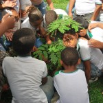 Semarh promove ações socioambientais no bairro Coqueiral - Fotos: Ascom/Semarh