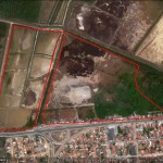 Obras no Porto Dantas mantêm Áreas de Preservação Ambiental intactas -