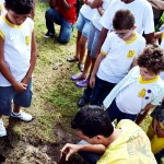 Plantio de Umbarana marca parceria entre Secult e Senac - Fotos de Ascom/Secult