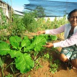 Técnicos da Inclusão capacitam agricultores sobre adubação orgânica - O engenheiro agrônomo