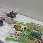 Cohidro doa sementes e cartilhas ao projeto Hortas nas Escolas -
