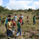 Semarh realiza plantio de mudas nativas no rio Piauitinga - Fotos: Ascom/Semarh