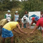 Agricultores assistidos pela Cohidro participam de aula prática - O consultor do Sebrae