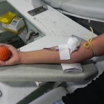 Servidores da Inclusão participam de campanha para doar sangue no Hemose - Fotos: Ascom/Seides