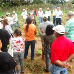 Agricultores de Organizações de Controle Social participam de intercâmbio em Ribeirópolis   - Fotos: Ascom/Emdagro