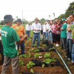Agricultores de Organizações de Controle Social participam de intercâmbio em Ribeirópolis   - Fotos: Ascom/Emdagro