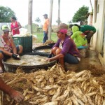 Agricultores de Organizações de Controle Social participam de intercâmbio em Ribeirópolis   - Fotos: Ascom/Emdagro