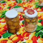 Catadoras de mangaba expõem produtos no Centro de Arte e Cultura - Bombom de mangaba