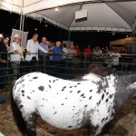 Déda visita Exposição de Animais da região CentroSul e destaca ampliação da agricultura e pecuária -
