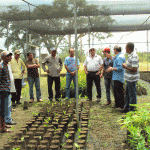 Governo do Estado promove curso de enxertia para agricultores de Umbaúba   - Fotos: Ascom/Emdagro