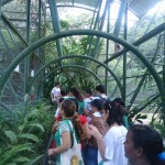 Projeto da Secretaria de Estado de Meio Ambiente  leva crianças ao zoológico - Fotos: Ascom/Semarh
