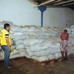 Governo de Sergipe inicia doação de 775 toneladas de alimentos para vítimas da seca  - Fotos: Edinah Mary / Inclusão