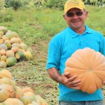 Irrigação pública de Sergipe é notícia nacional - Fotos : Felipe Coringa