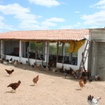 Pronese investe mais de R$ 2 milhões no combate à seca em Poço Redondo - Fotos: Ascom/Pronese