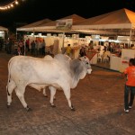 Exposição sergipana é aberta com animais de alta linhagem  - O secretário de Meio Ambiente de Lagarto