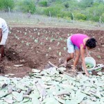 Pronese investe mais de R$ 2 milhões no combate à seca em Poço Redondo - Fotos: Ascom/Pronese