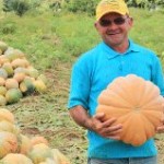 Irrigação pública ajuda agricultores do AltoSertão - O agricultor Sharles Roberto Pimentel