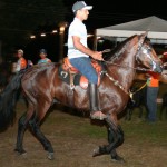 Exposição sergipana é aberta com animais de alta linhagem  - O secretário de Meio Ambiente de Lagarto