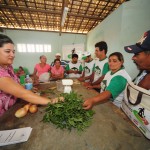 Governo estimula produção "limpa" entre agricultores familiares - Fotos: Edinah Mary/Inclusão