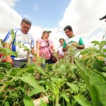 Governo estimula produção "limpa" entre agricultores familiares - Fotos: Edinah Mary/Inclusão