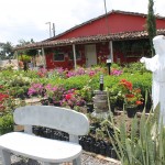 Irrigação pública transforma agricultores familiares em empresários‏ - O produtor Marcos José de Carvalho