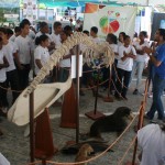 Exposição de Mata Atlântica chega ao oitavo dia e recebe grande público  - Fotos: Ascom/Semarh