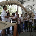 Exposição Itinerante de Mata Atlântica chega a Sergipe - Fotos: Ascom/Semarh