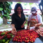 Atividades educativas marcam edição especial da Feira da Agricultura Familiar -