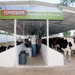 Governo incrementa exposição agropecuária de N. Sra. da Glória - Fotos: Ascom/Seagri