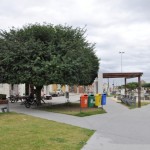 Principal praça de Monte Alegre é revitalizada - Pé de tamarindo foi preservado