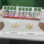 Diálogo sobre malefícios das drogas reúne assistentes sociais na Fundação Renascer - Fotos: Ascom/Inclusão